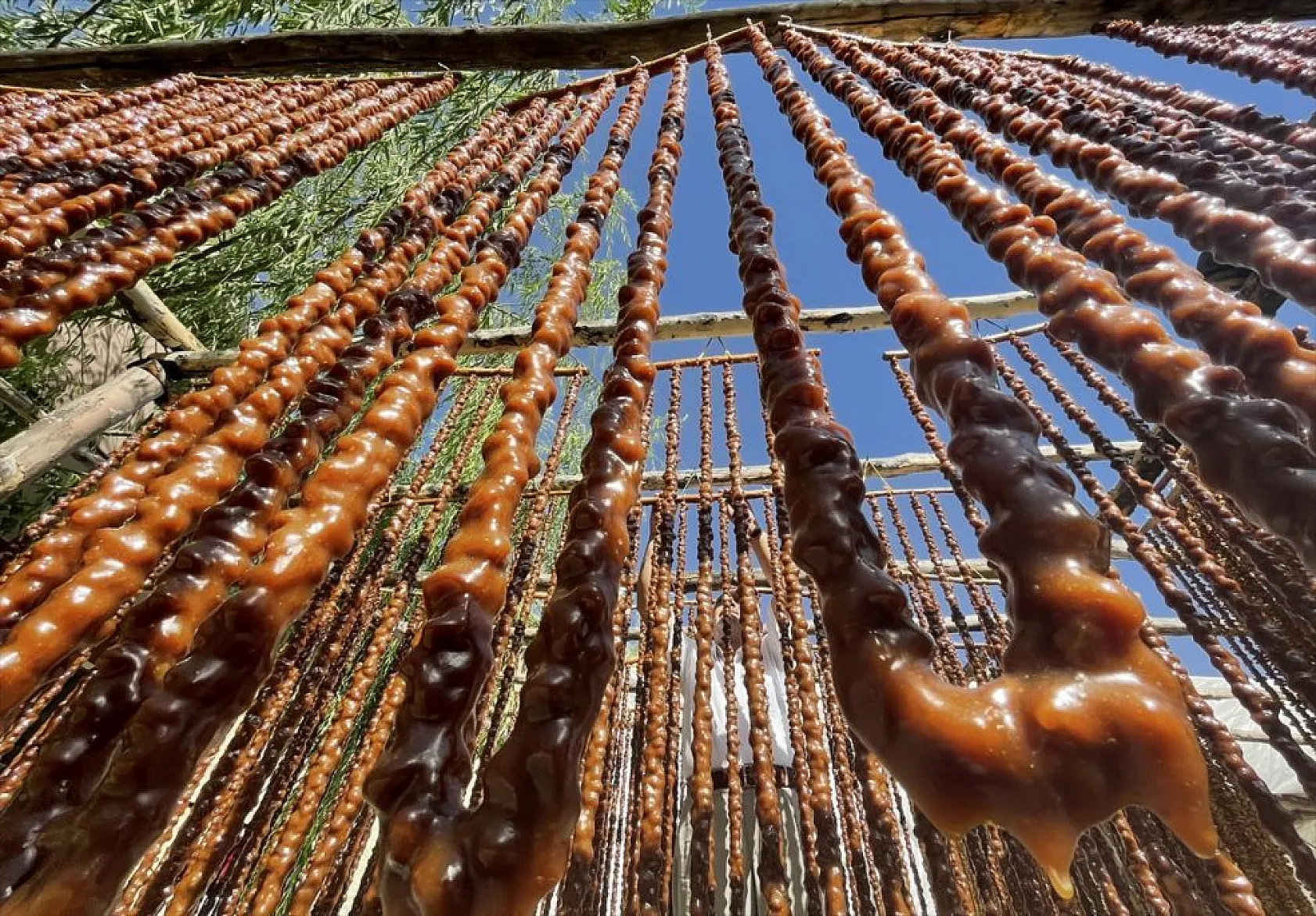 Elazığ'da 'orcik' mesaisi başladı