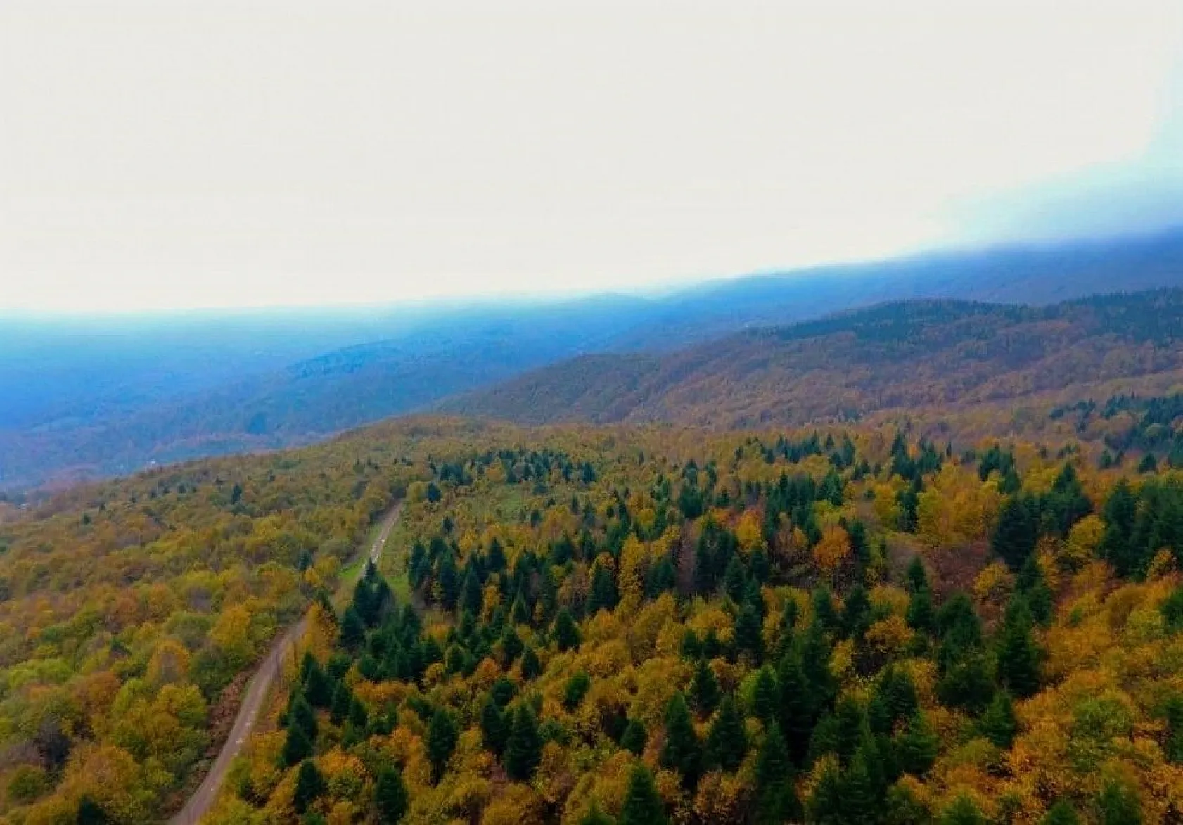 Ordu'da sonbaharda renk cümbüşü