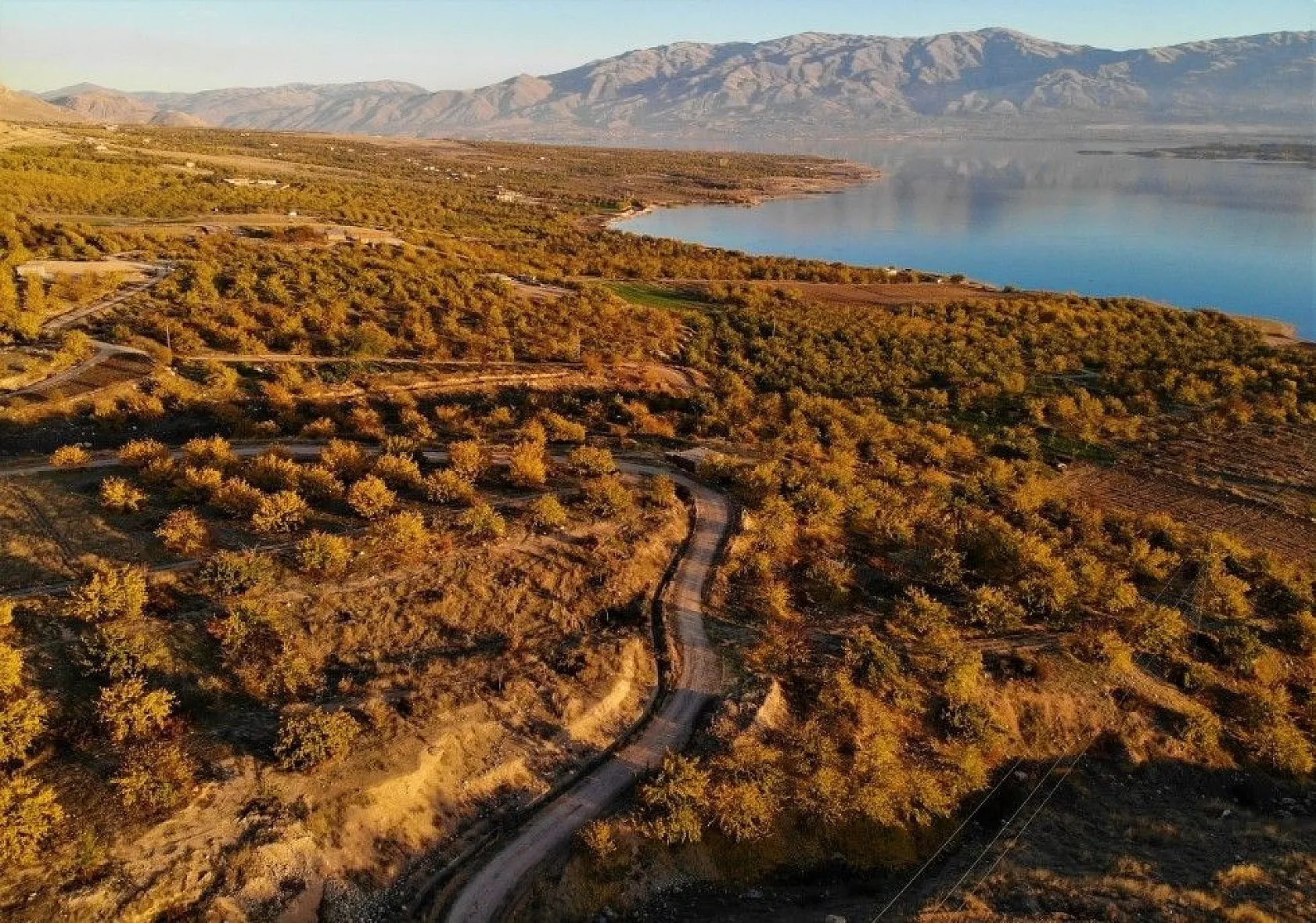 Altın yaprakların muhteşem görsel şöleni