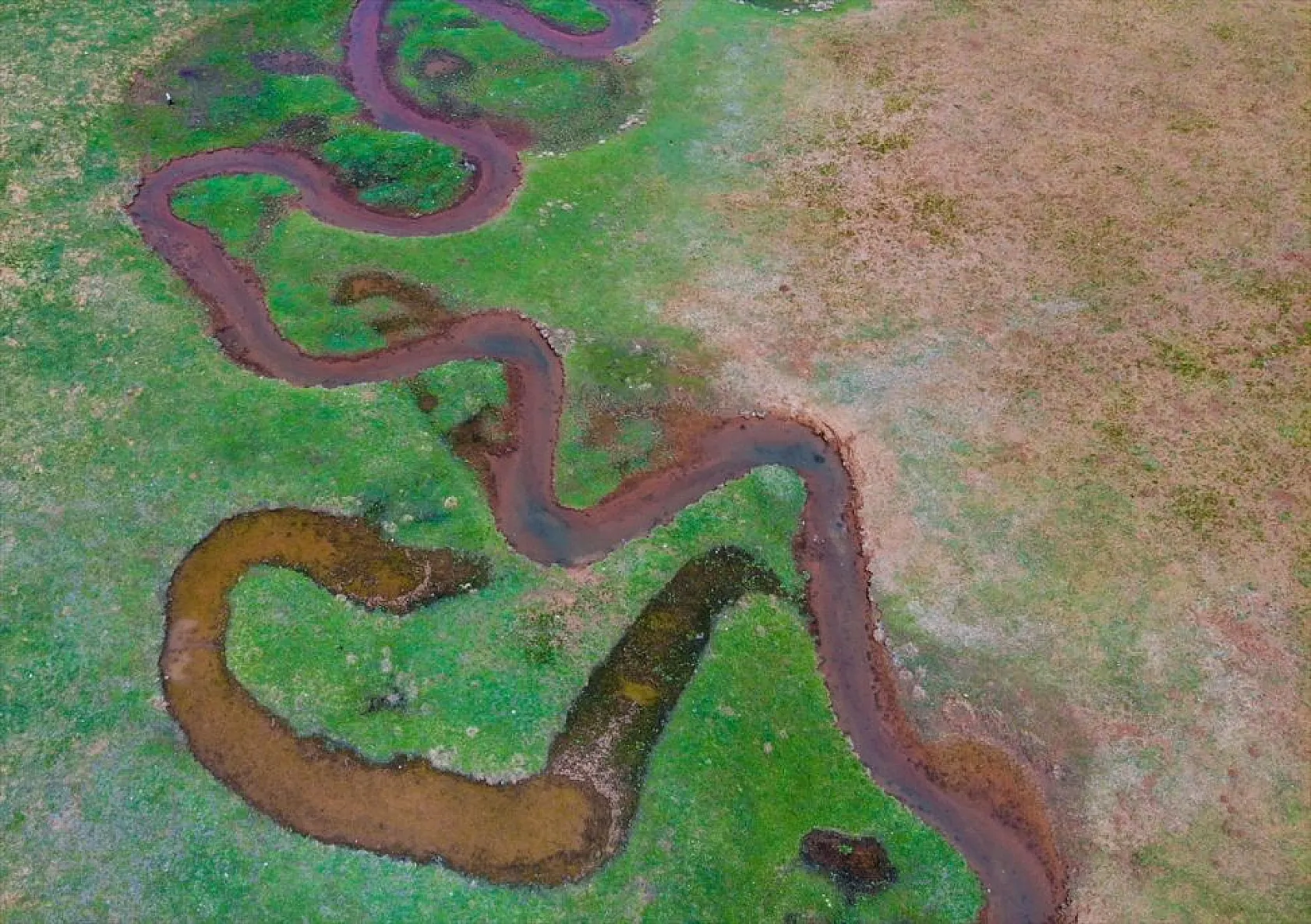 Tunceli'nin Gözeler köyündeki mendereslerde ilkbahar güzelliği
