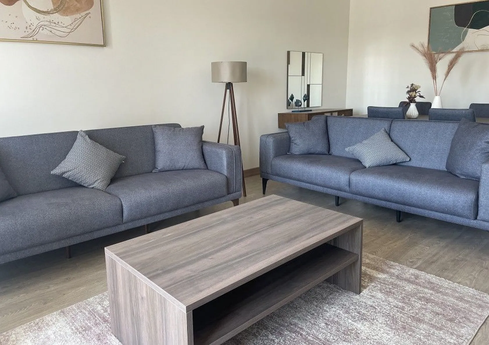 Afet konutları işte böyle olacak...