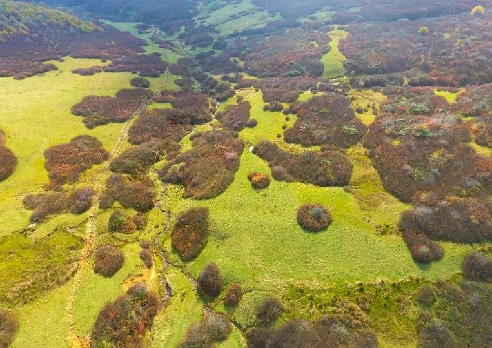 Ordu'da sonbaharda renk cümbüşü