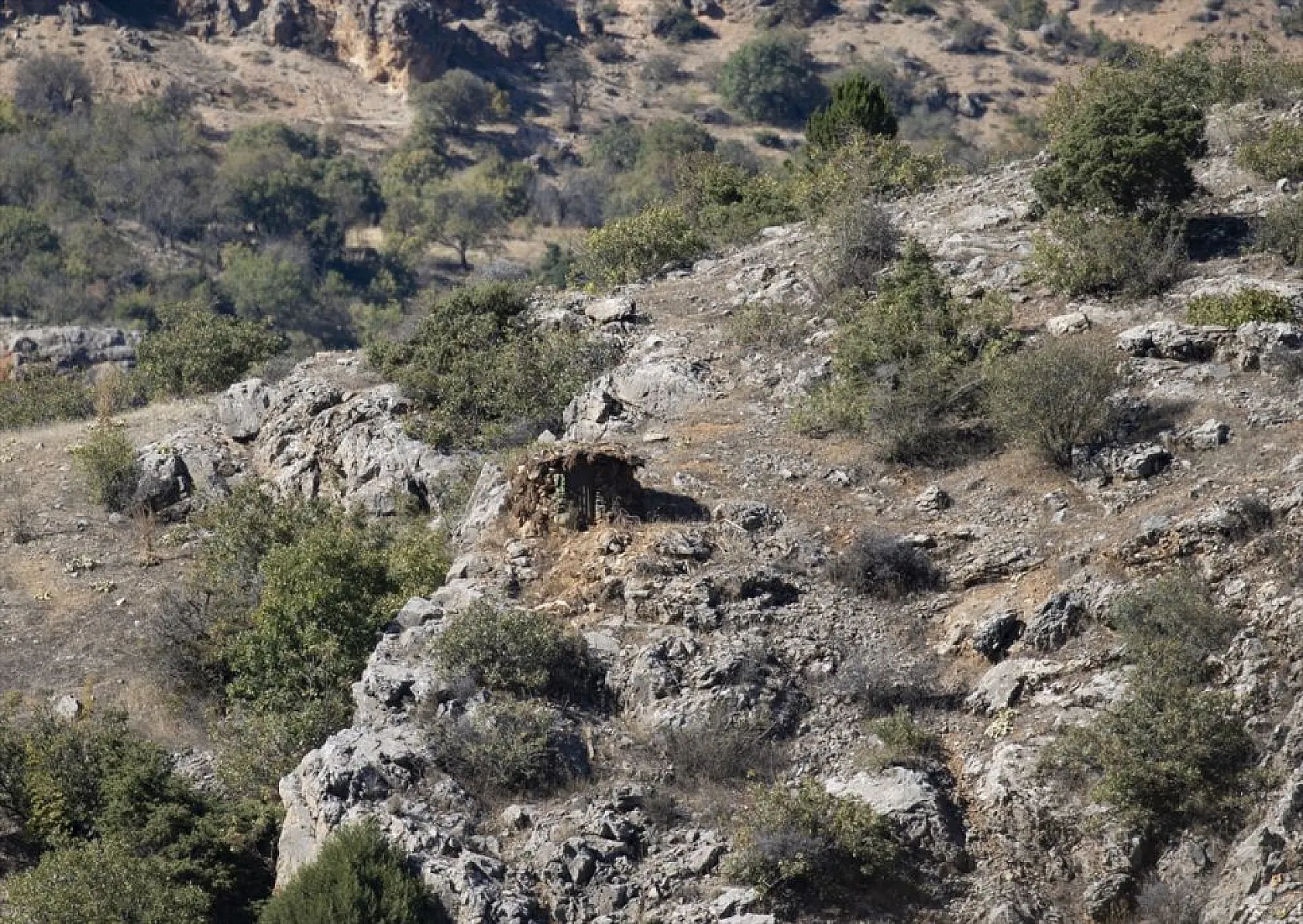 Kaçak avcıların kulübeleri bir bir yıkılıyor