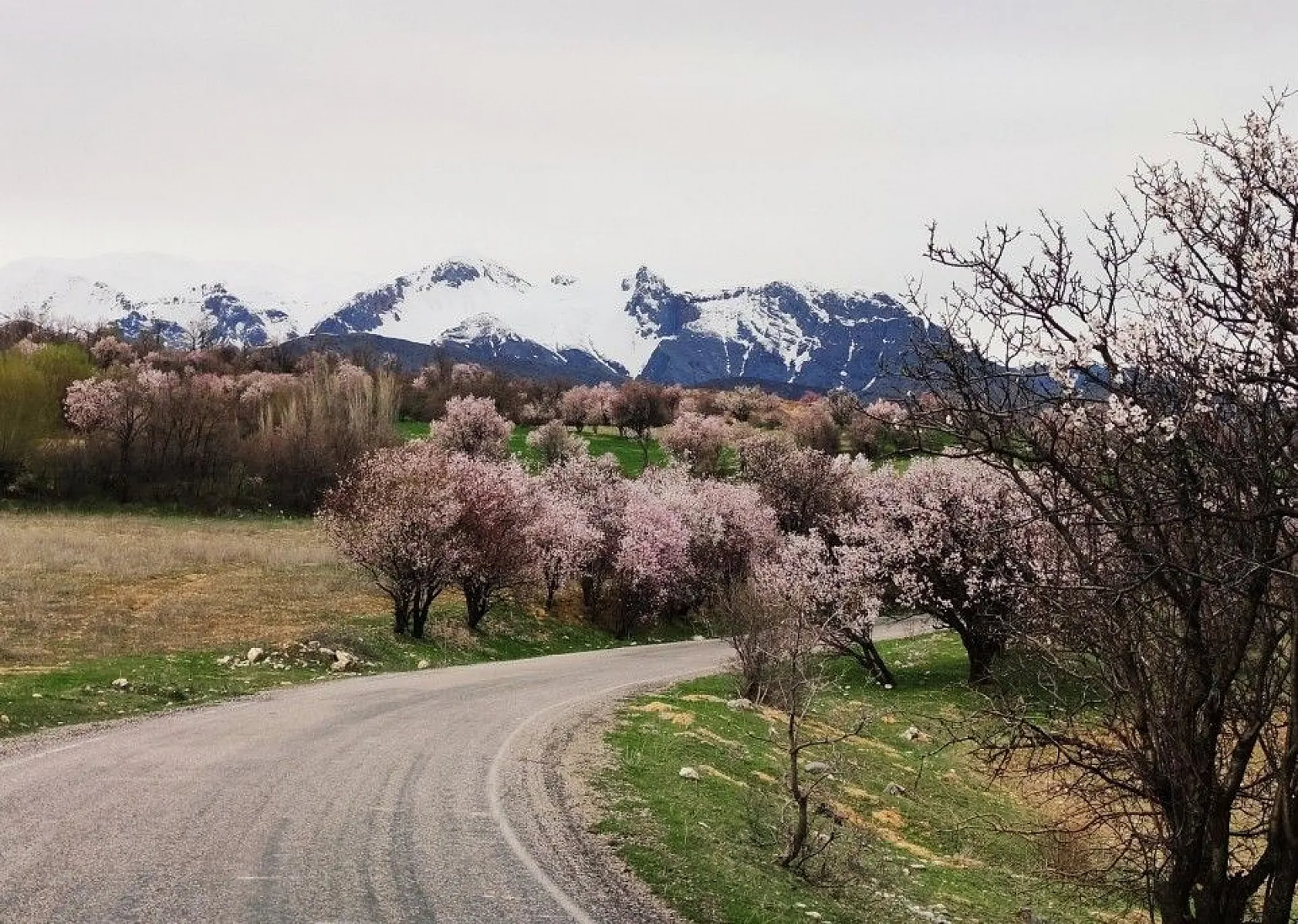 Doğal yaşamı ile dikkat çeken ilçe baharla renklendi