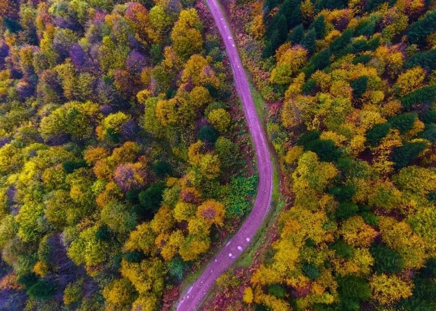 Ordu'da sonbaharda renk cümbüşü