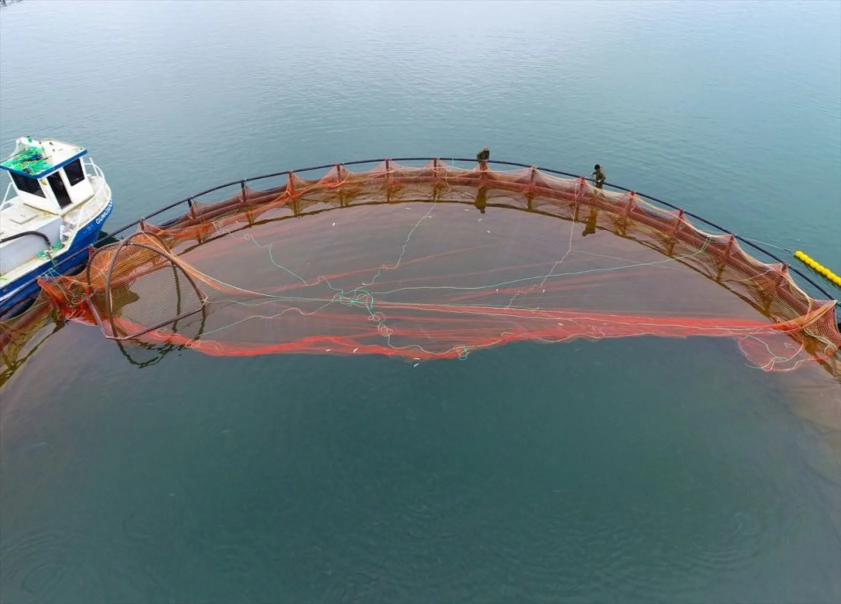 'Türk somonu' 36 ülkeye ihraç ediliyor