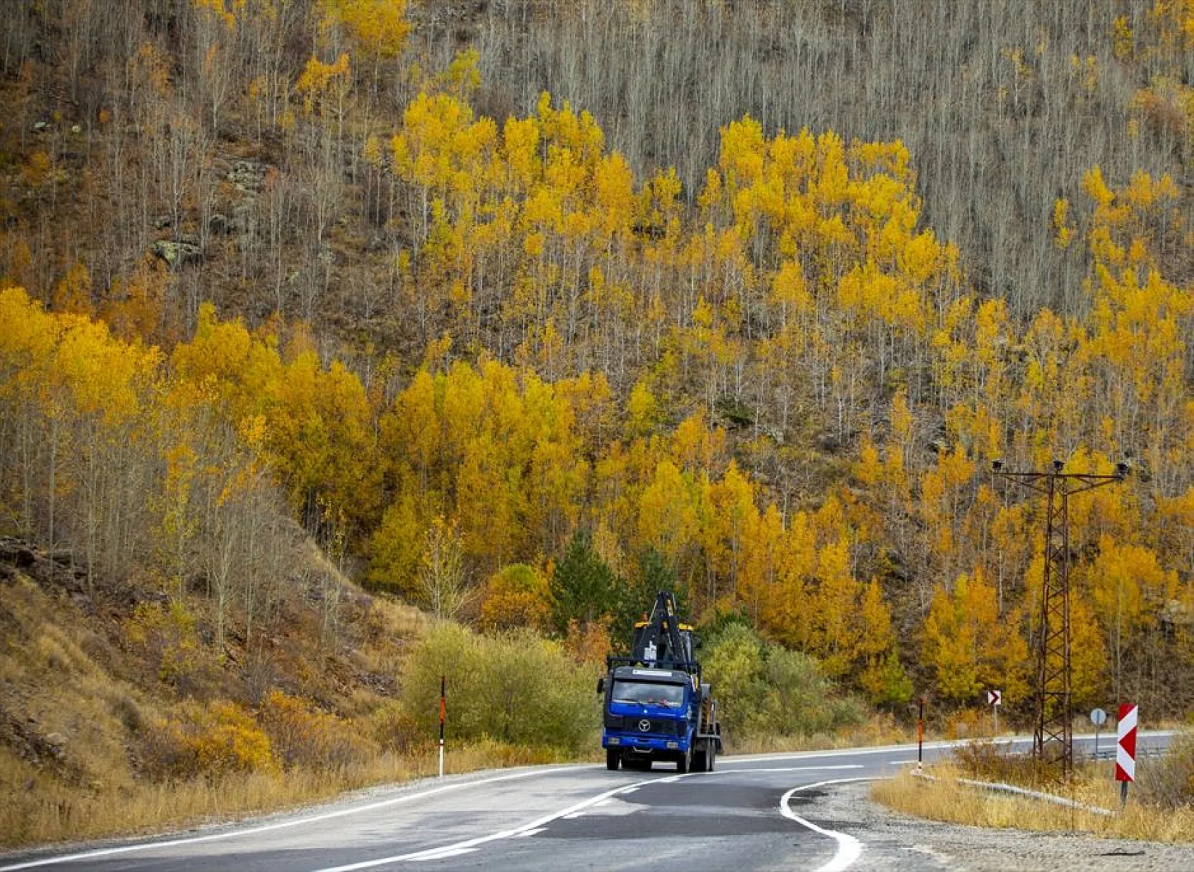Erzurum'un dağlarında sonbahar renkleri yaşanıyor