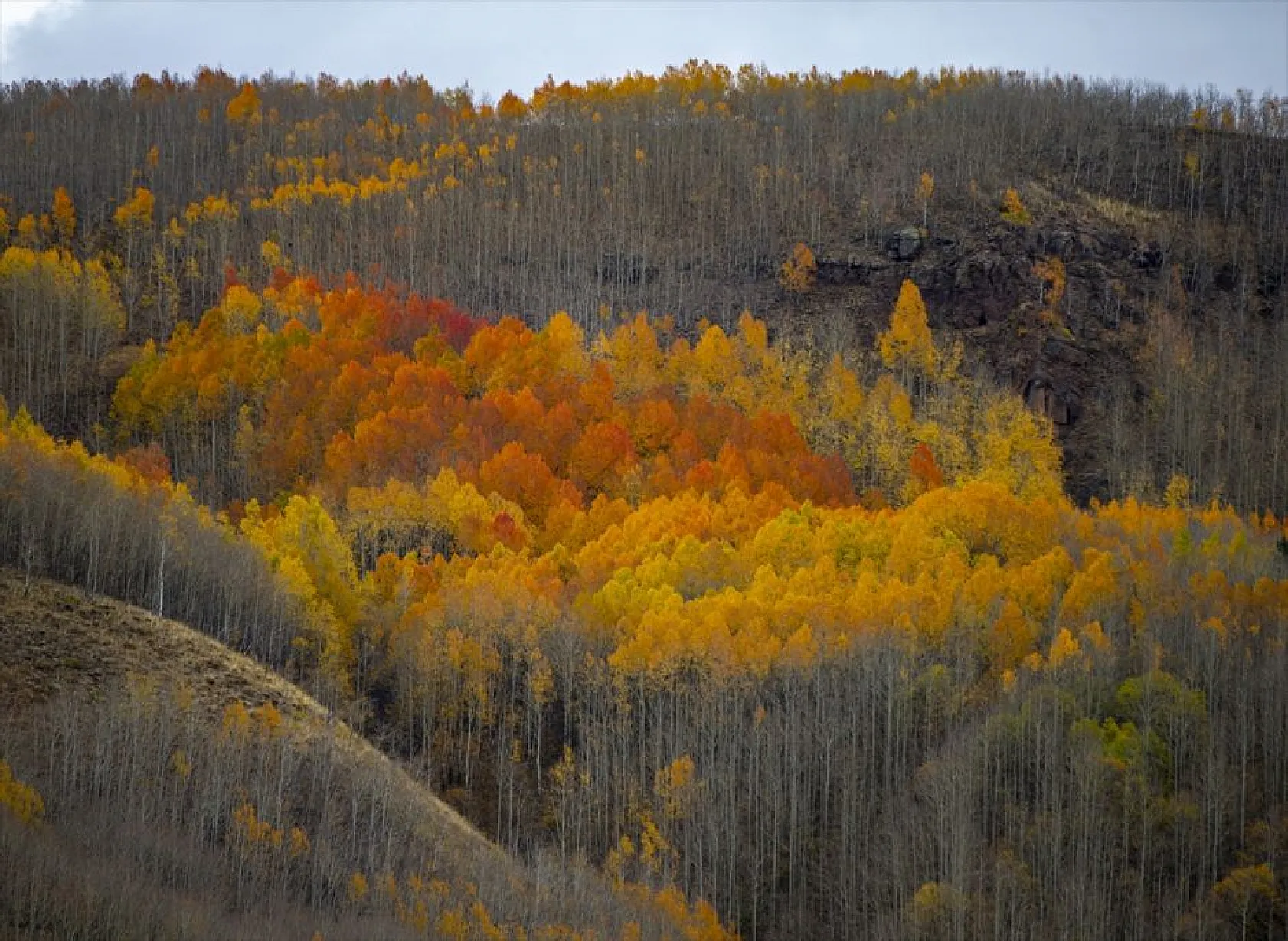 Erzurum'un dağlarında sonbahar renkleri yaşanıyor