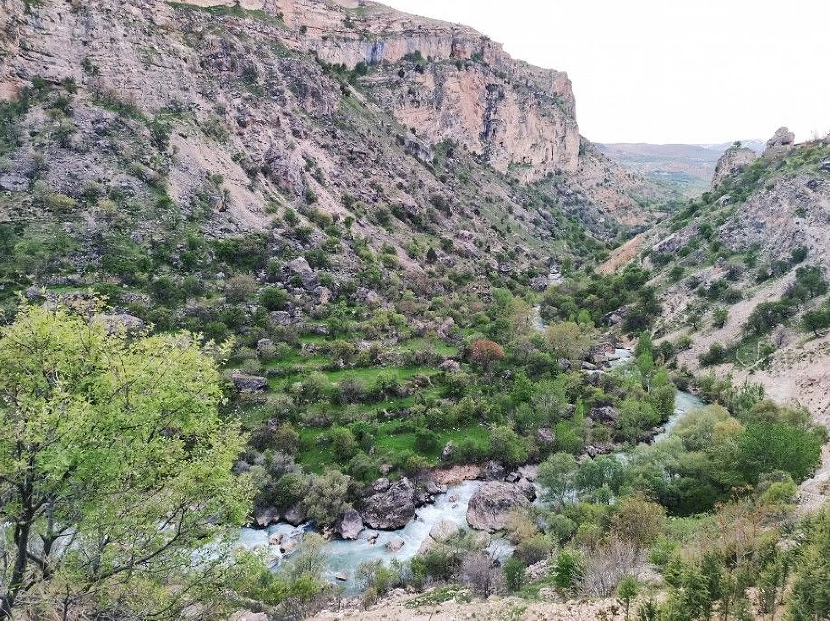 Doğal yaşamı ile dikkat çeken ilçe baharla renklendi