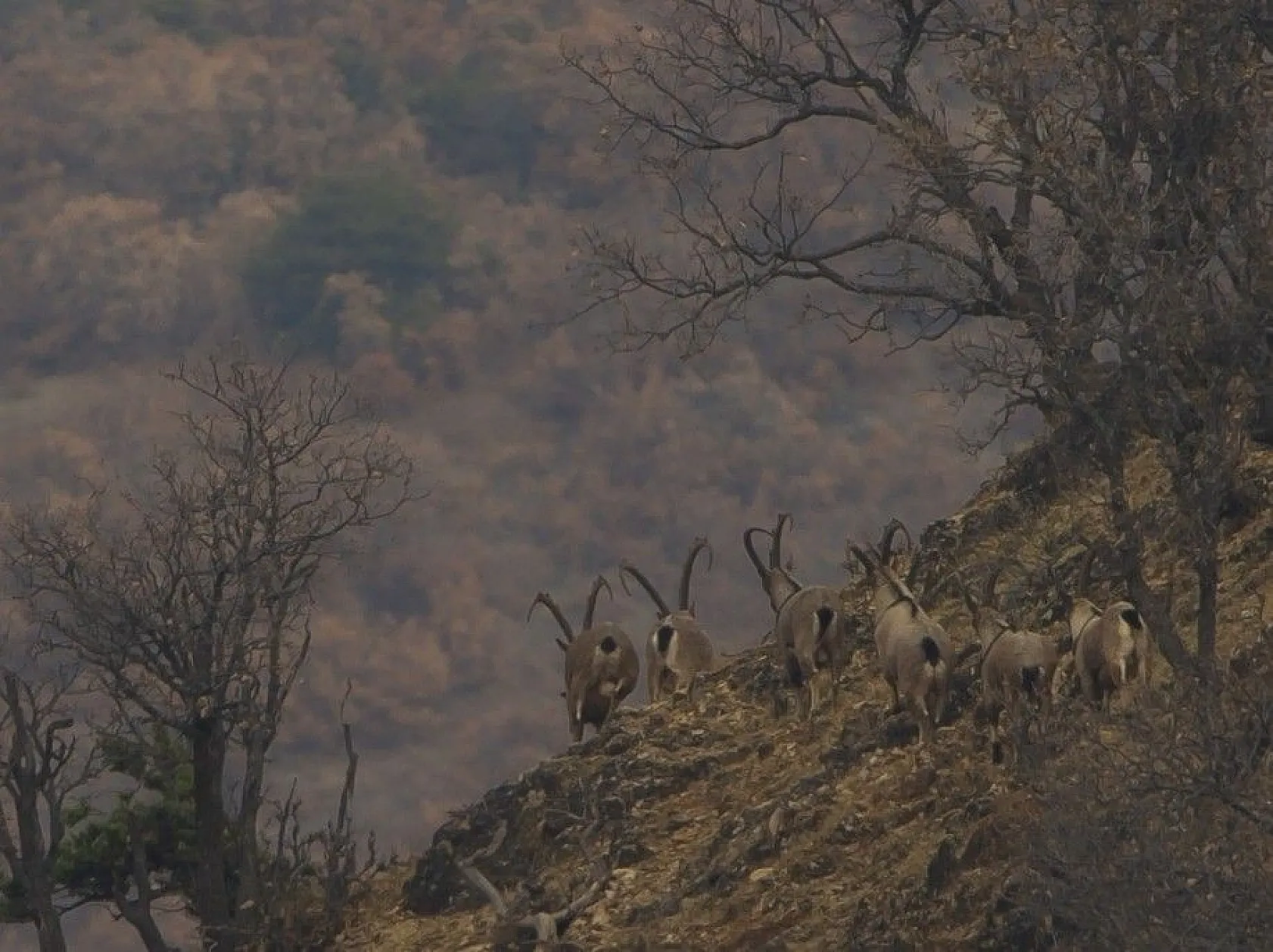 Elazığ'dan hayran bırakan fotoğraflar