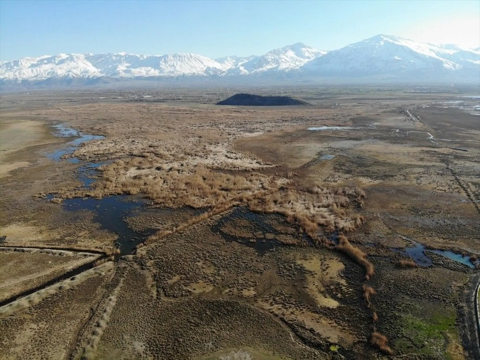 Türkülere ilham veren allı turnalar Anadolu'yu mesken tuttu