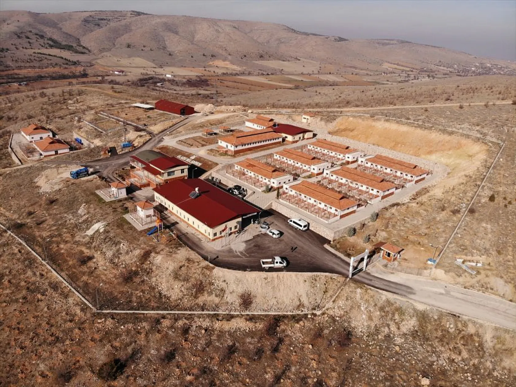 Atıl arazi 'can dostlar'ın barınağı oldu