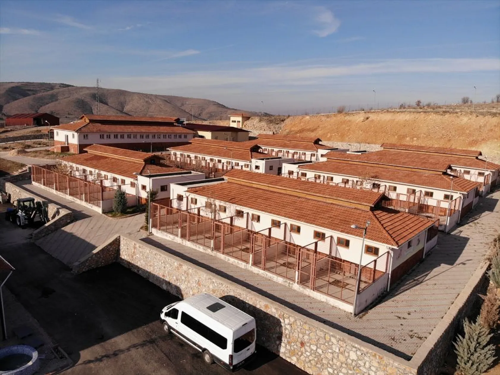 Atıl arazi 'can dostlar'ın barınağı oldu