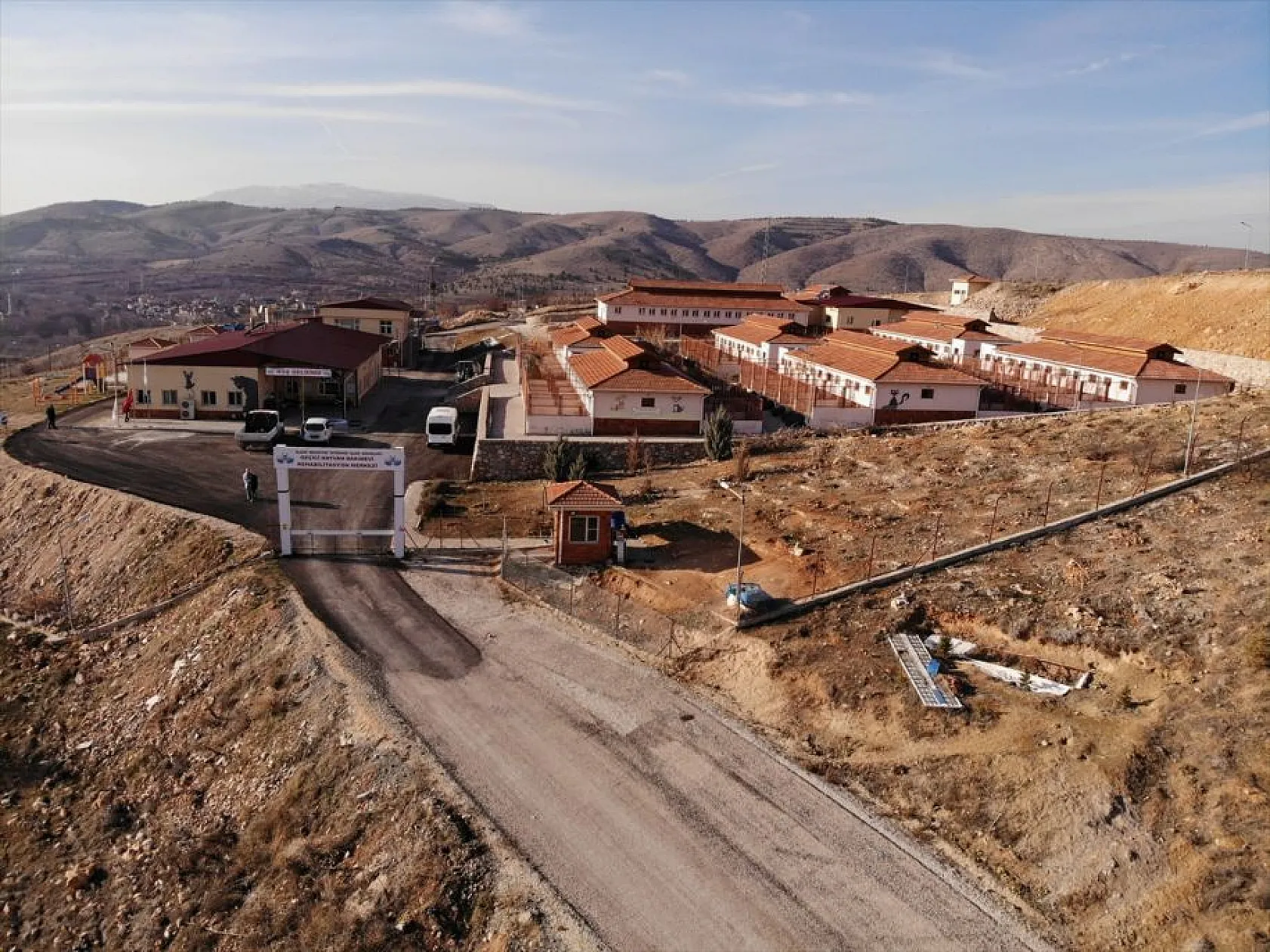 Atıl arazi 'can dostlar'ın barınağı oldu