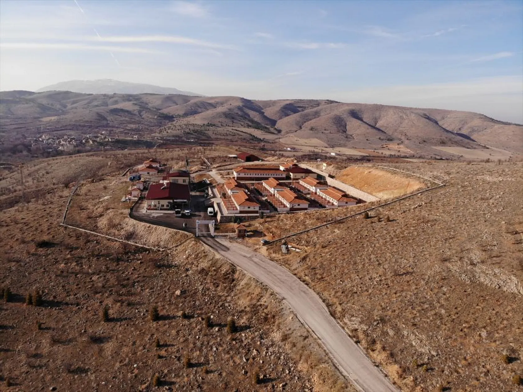 Atıl arazi 'can dostlar'ın barınağı oldu