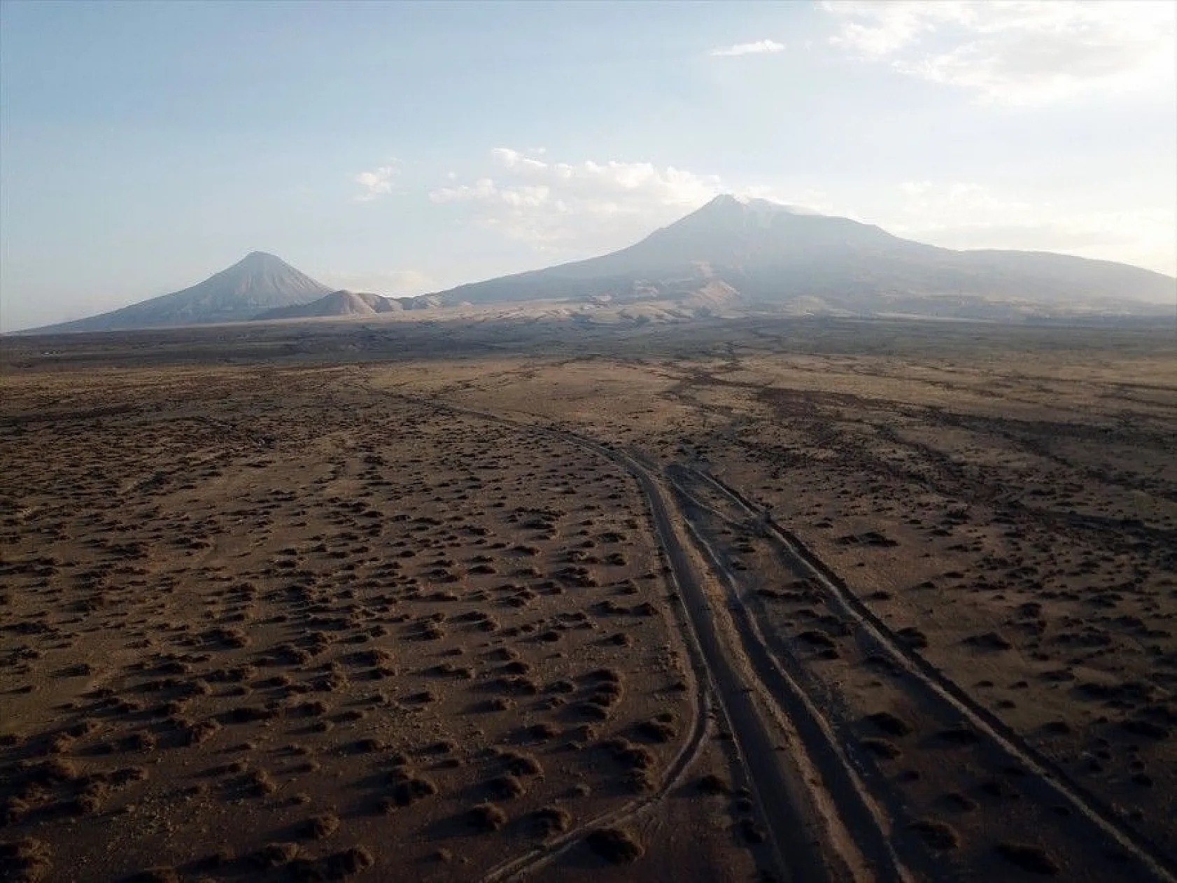 Ağrı Dağı'nın minik sürüngeni: 'Topbaş keleri'