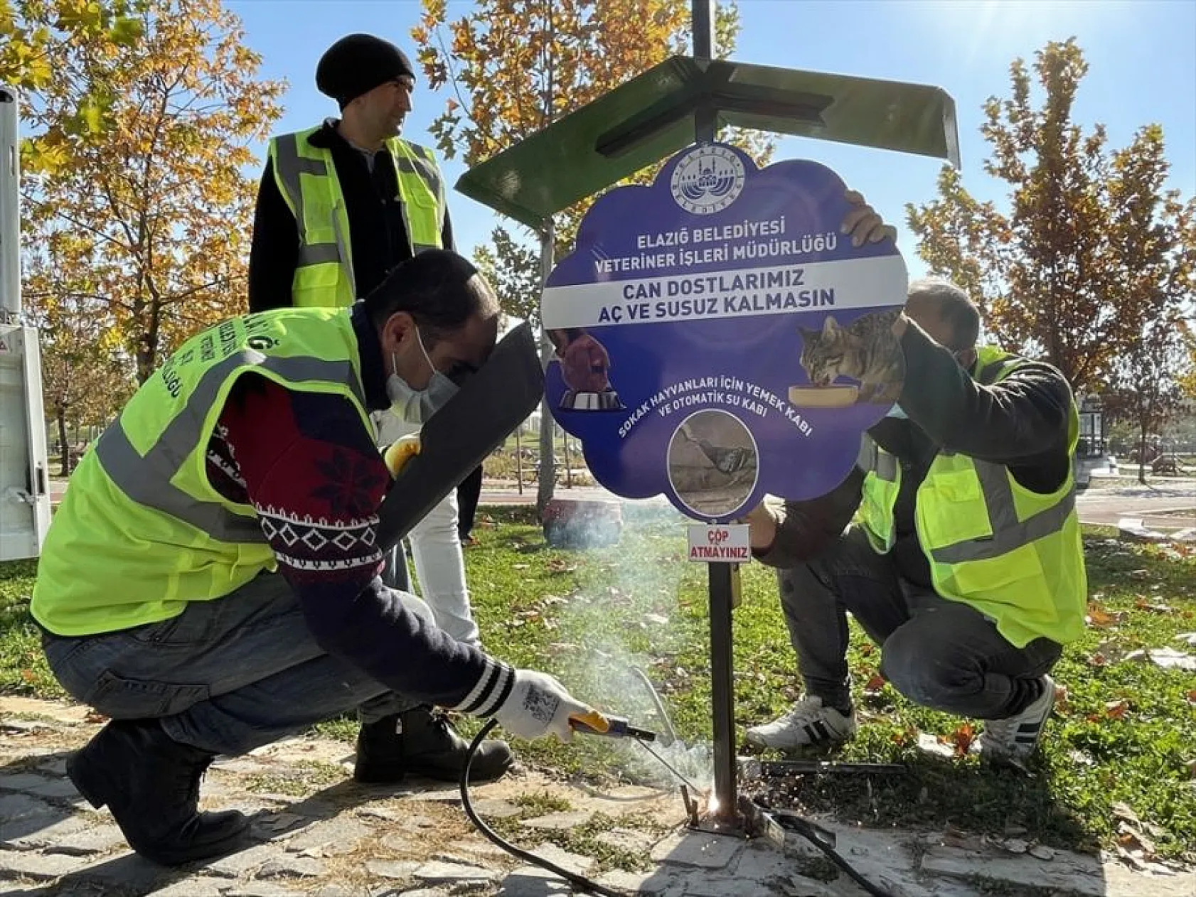 Hayvan dostu belediye sokaklardan mama ve suyu eksik etmiyor