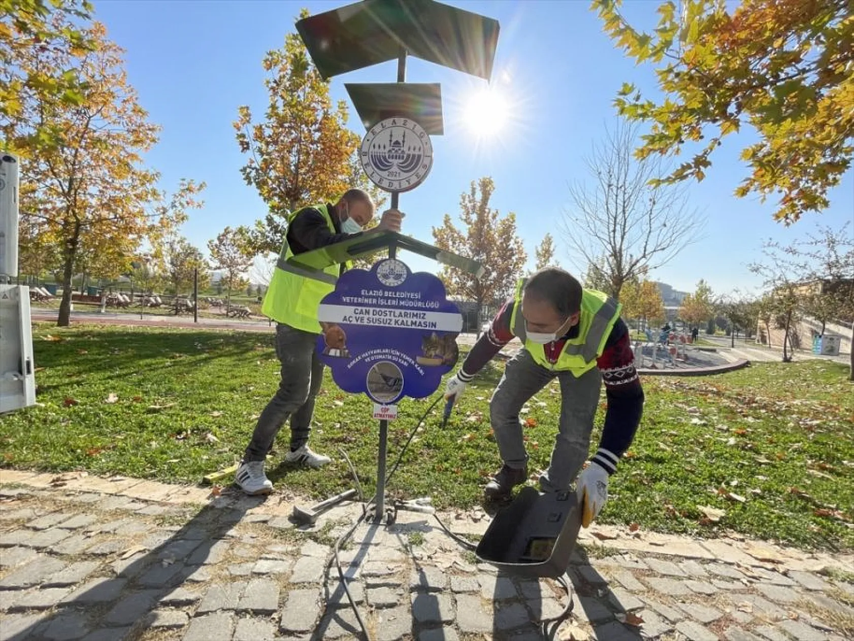 Hayvan dostu belediye sokaklardan mama ve suyu eksik etmiyor