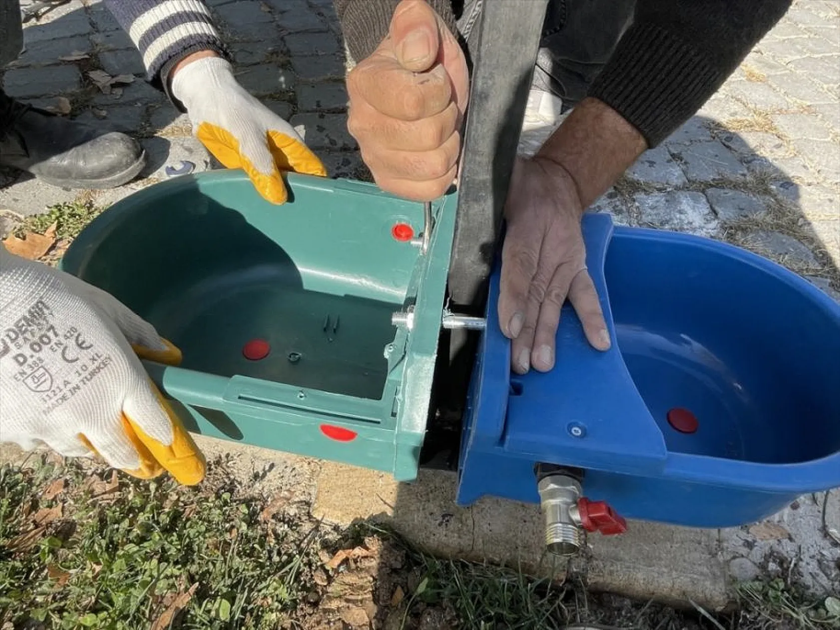 Hayvan dostu belediye sokaklardan mama ve suyu eksik etmiyor