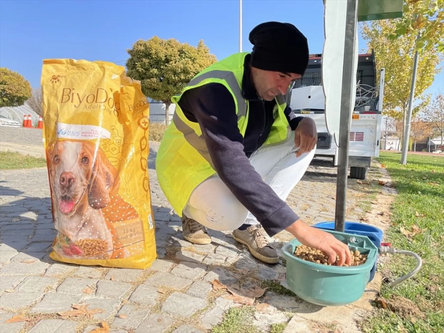 Hayvan dostu belediye sokaklardan mama ve suyu eksik etmiyor
