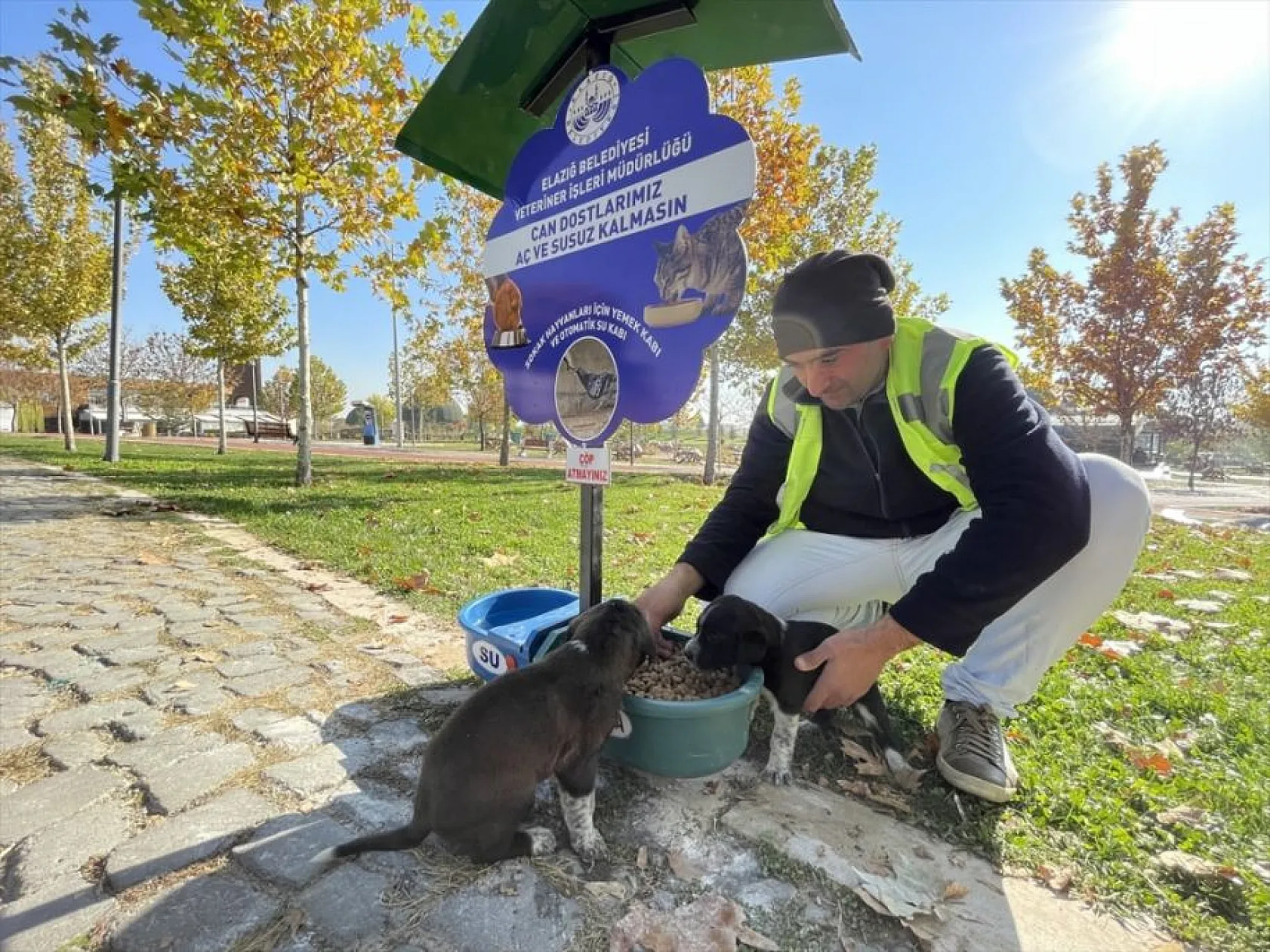 Hayvan dostu belediye sokaklardan mama ve suyu eksik etmiyor