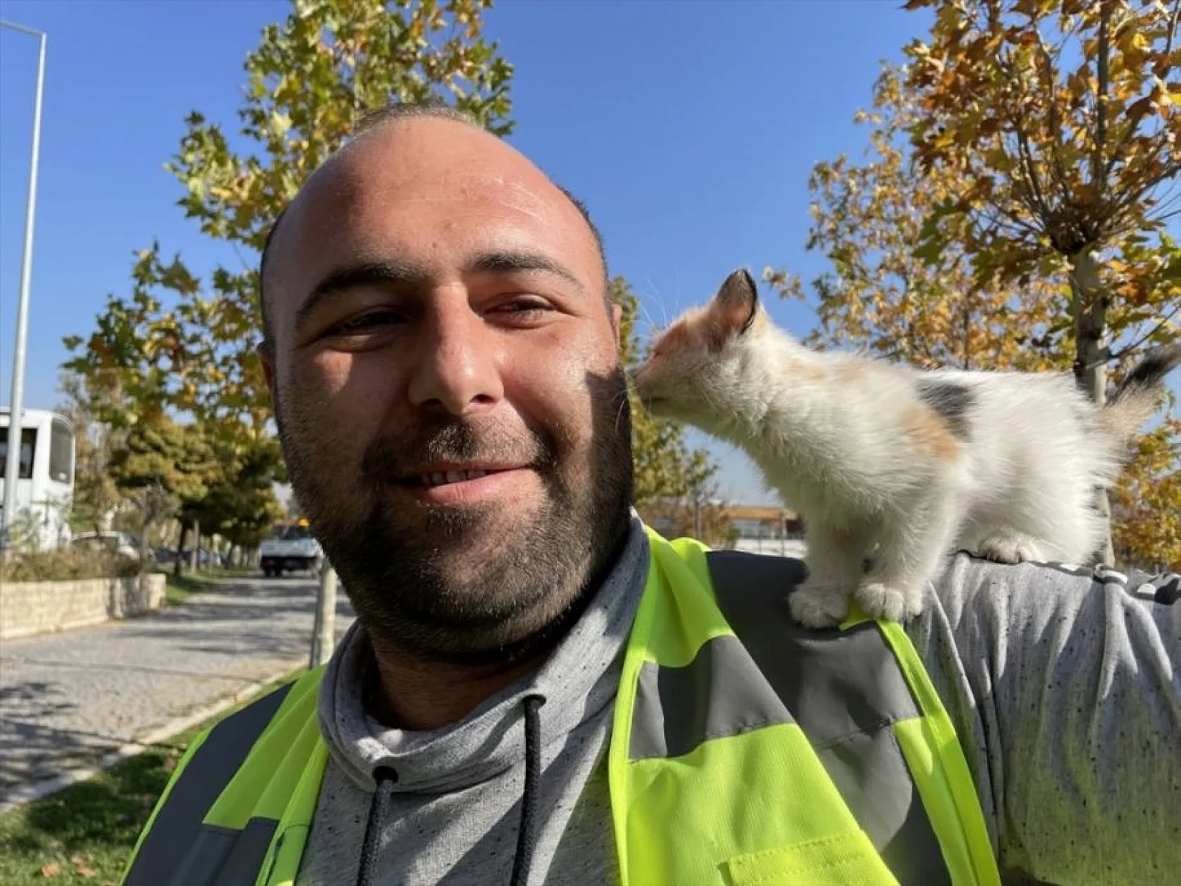 Hayvan dostu belediye sokaklardan mama ve suyu eksik etmiyor