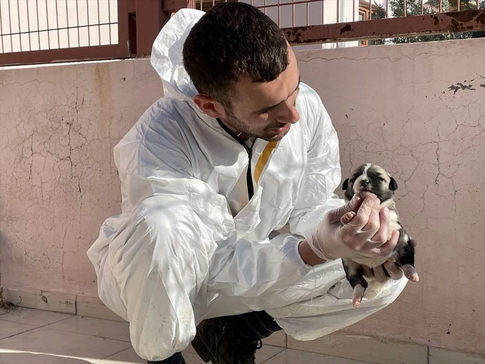 Atıl arazi 'can dostlar'ın barınağı oldu