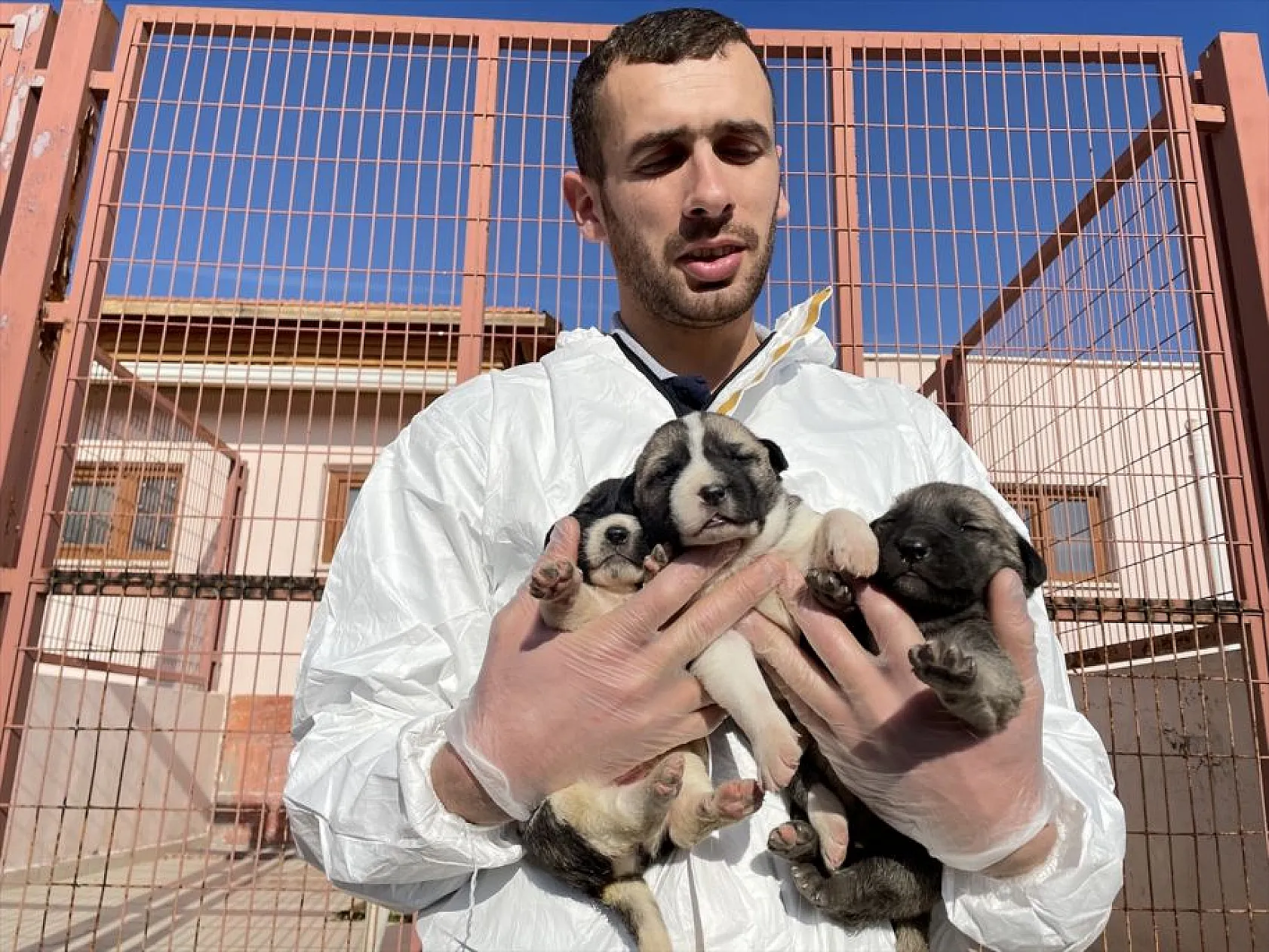 Atıl arazi 'can dostlar'ın barınağı oldu