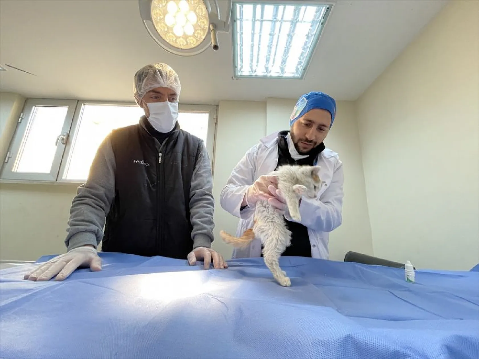 Atıl arazi 'can dostlar'ın barınağı oldu