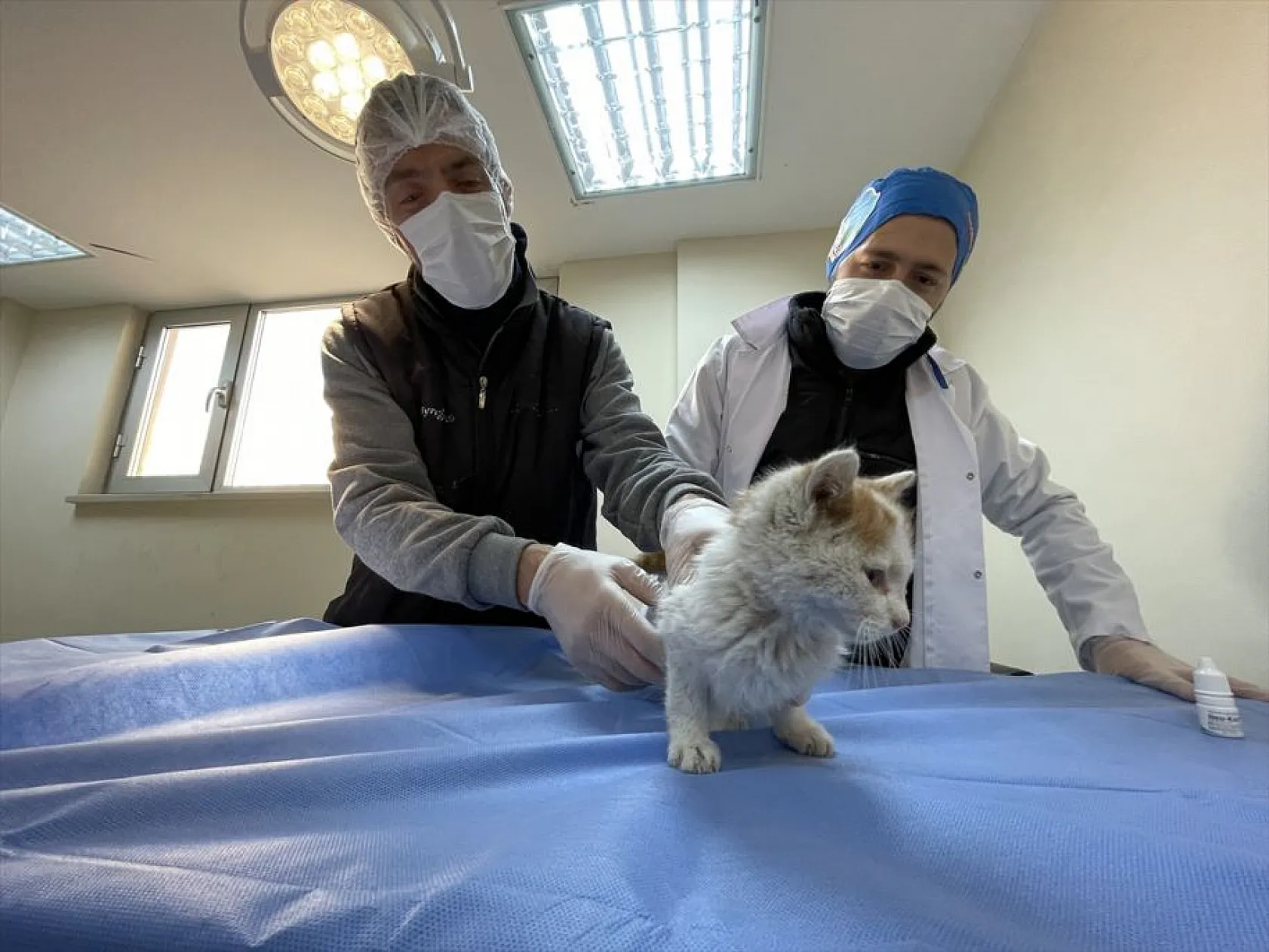 Atıl arazi 'can dostlar'ın barınağı oldu