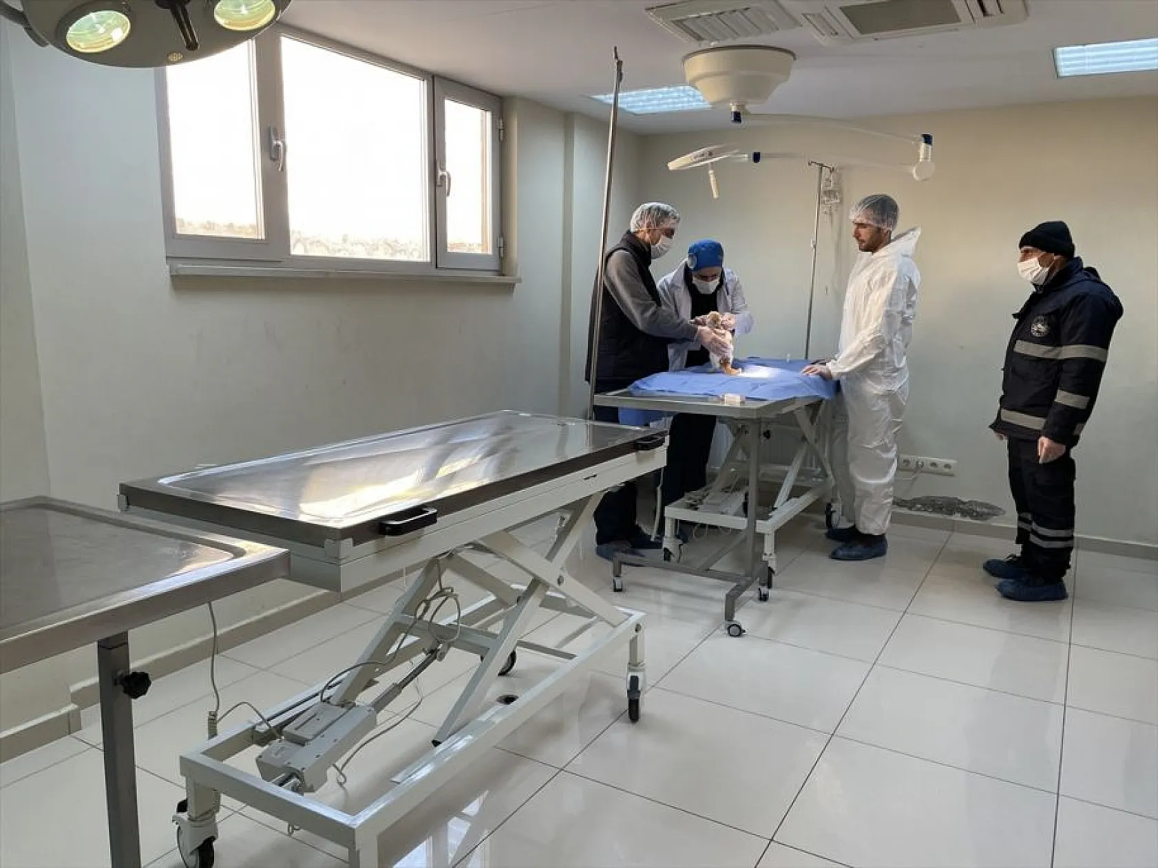 Atıl arazi 'can dostlar'ın barınağı oldu