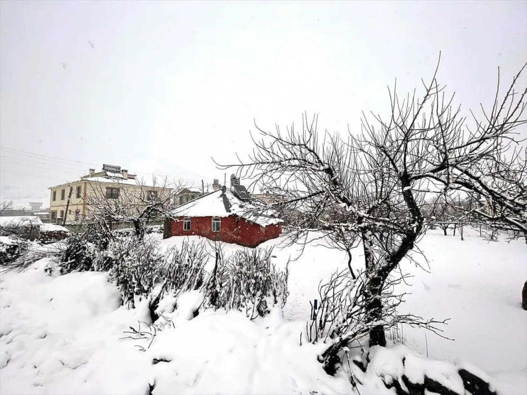 Yolçatı köyünden kar manzaraları