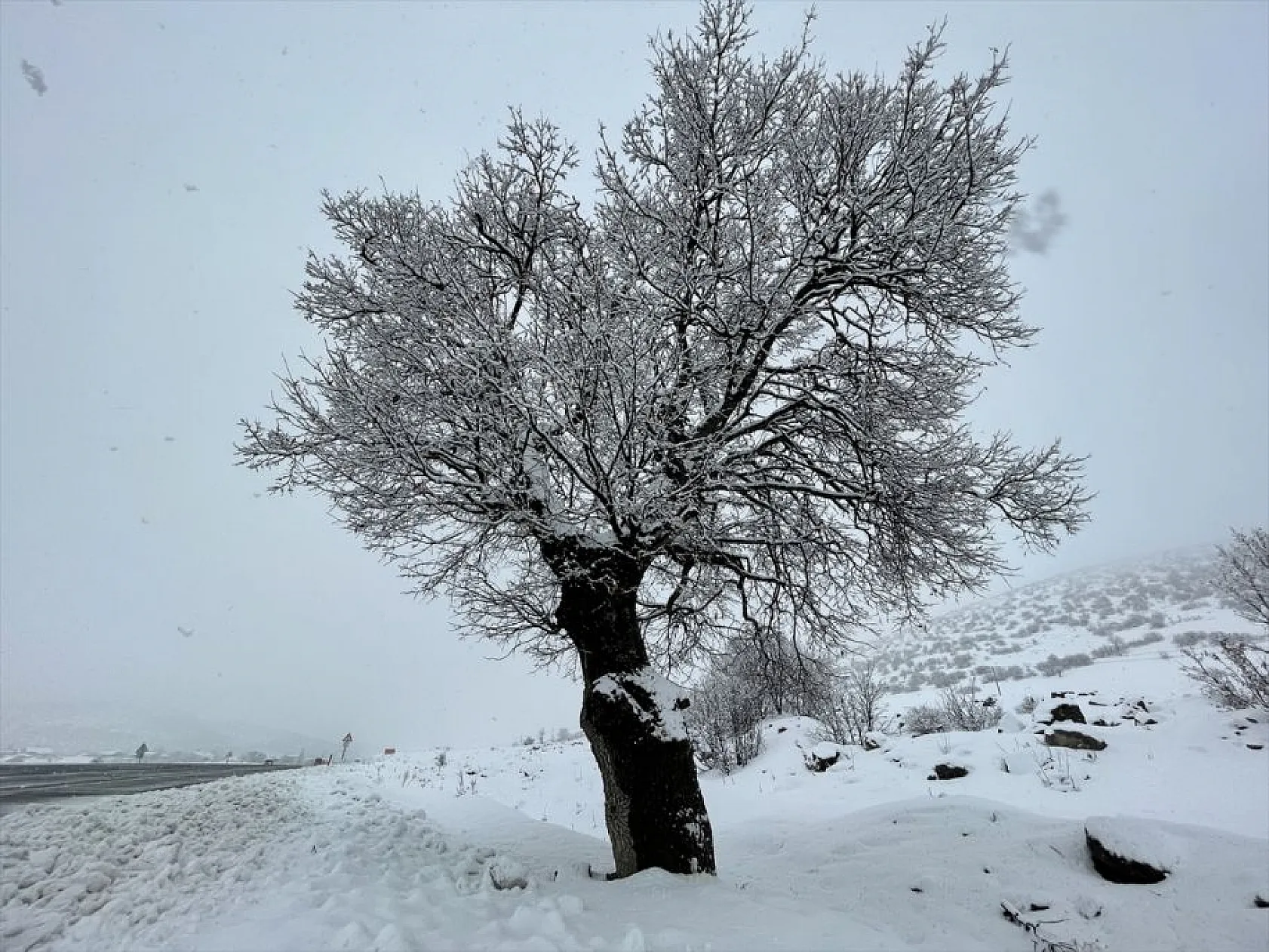 Yolçatı köyünden kar manzaraları