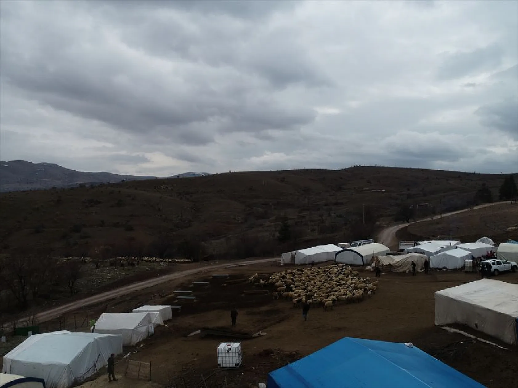 Sonbahar yağışları ile besicilerin yüzü güldü