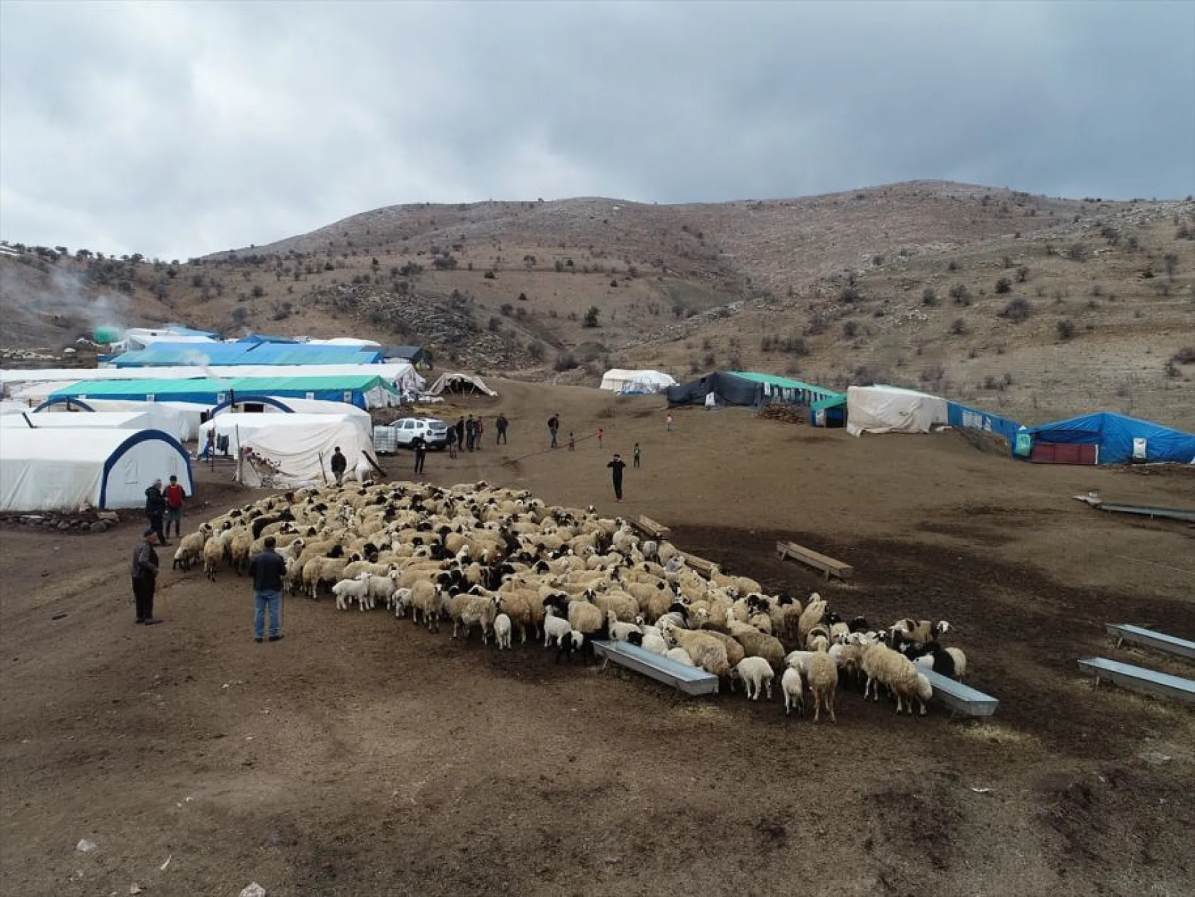Sonbahar yağışları ile besicilerin yüzü güldü