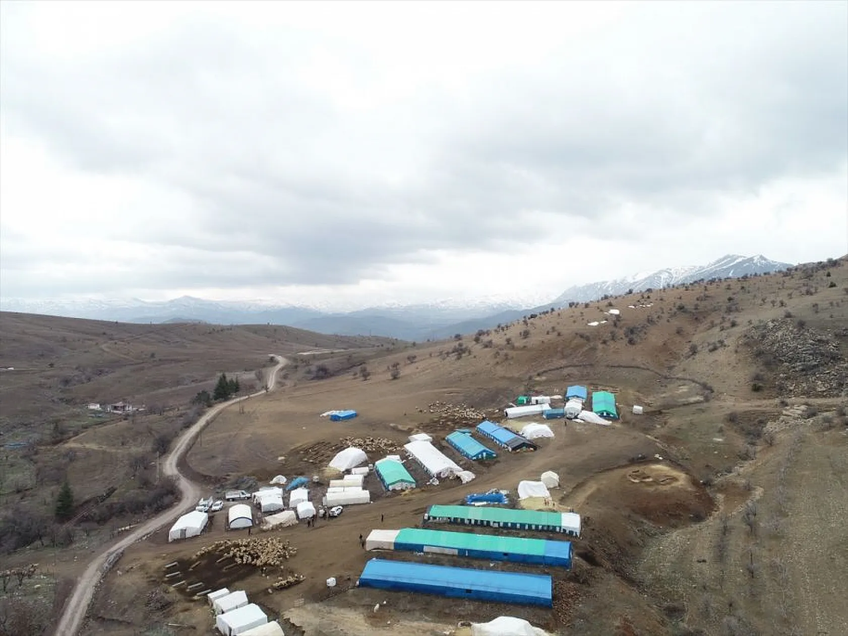 Sonbahar yağışları ile besicilerin yüzü güldü