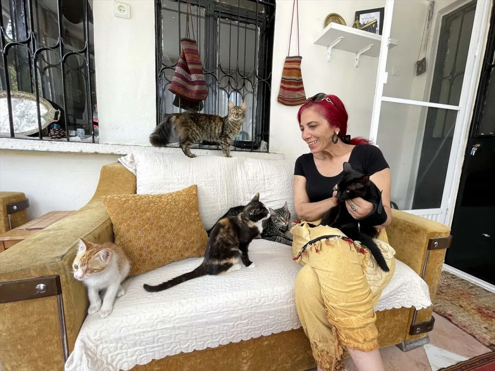 Emekli öğretmenden sahipsiz hayvanlara vefa