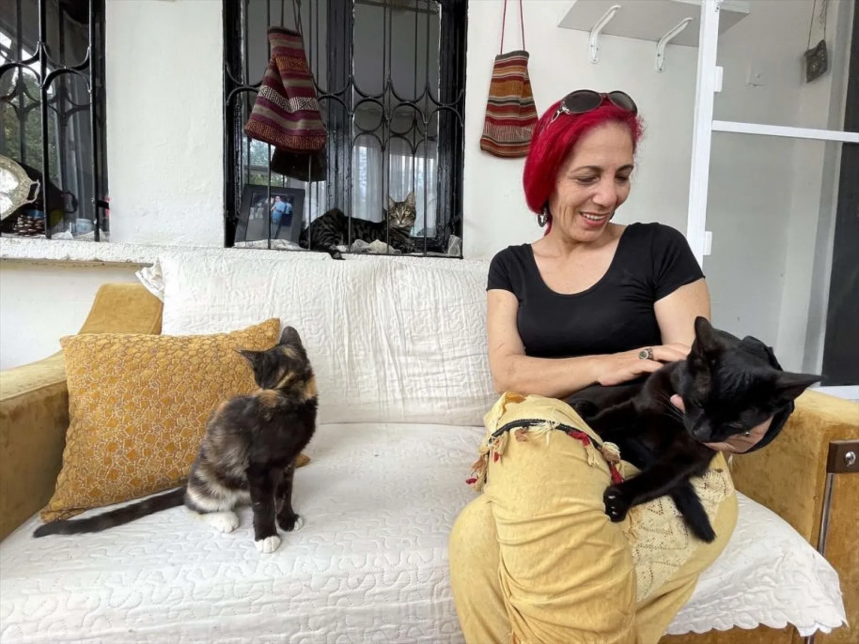 Emekli öğretmenden sahipsiz hayvanlara vefa