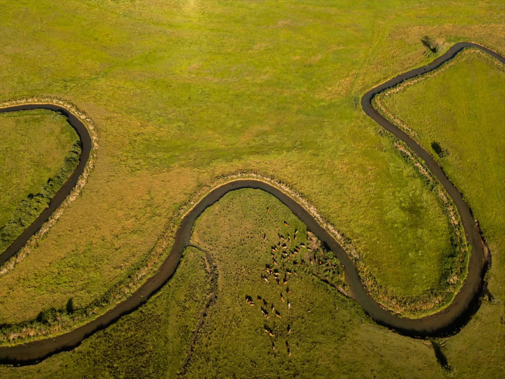 Güzeldere Menderesleri