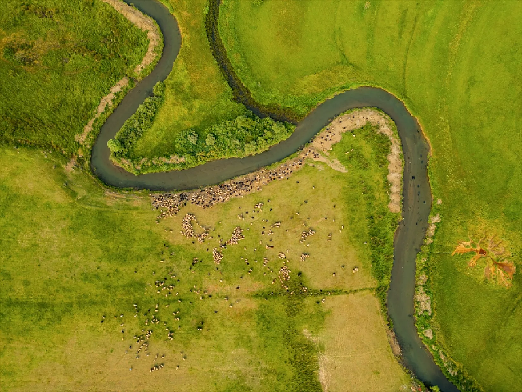 Güzeldere Menderesleri