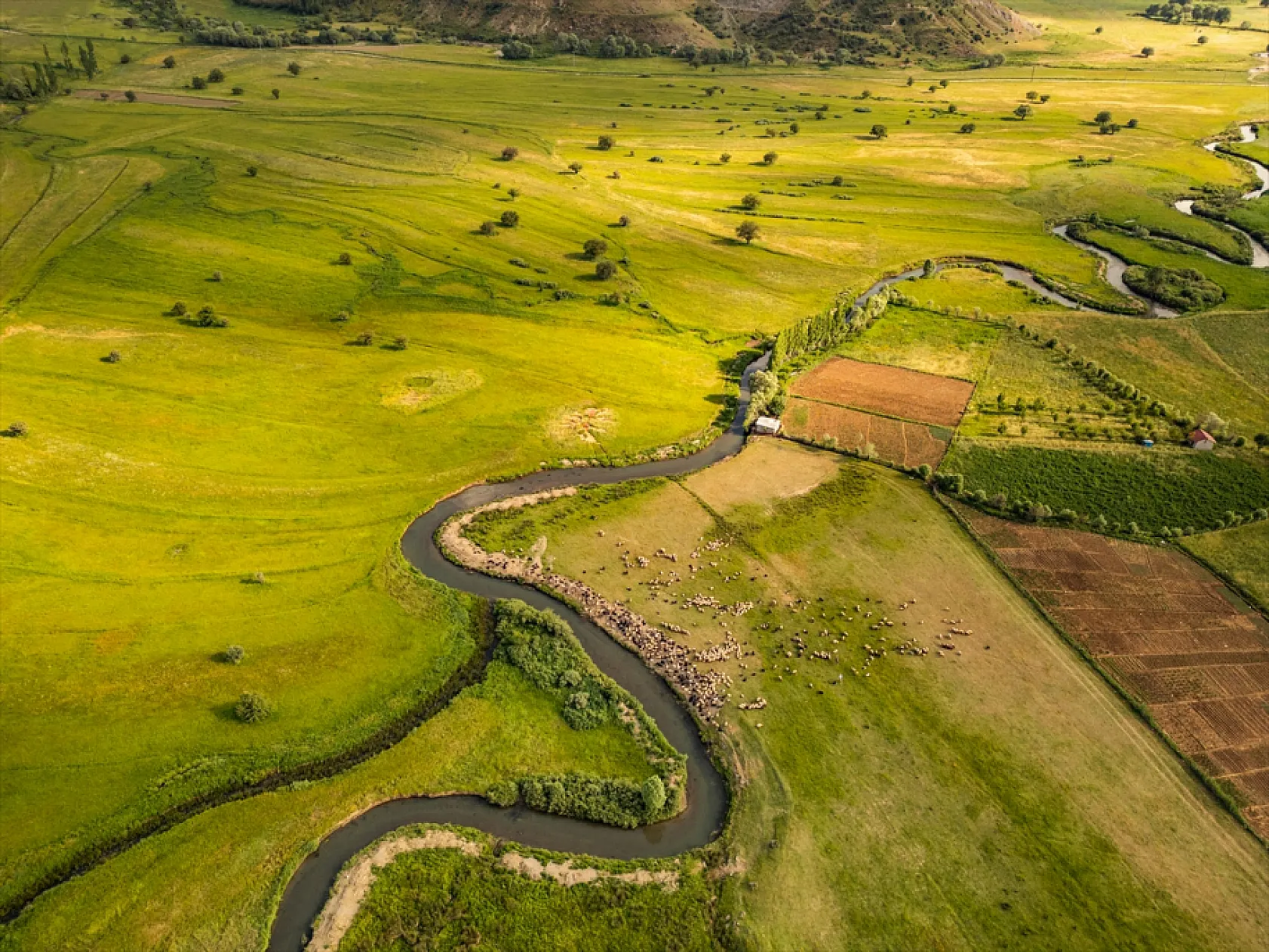 Güzeldere Menderesleri