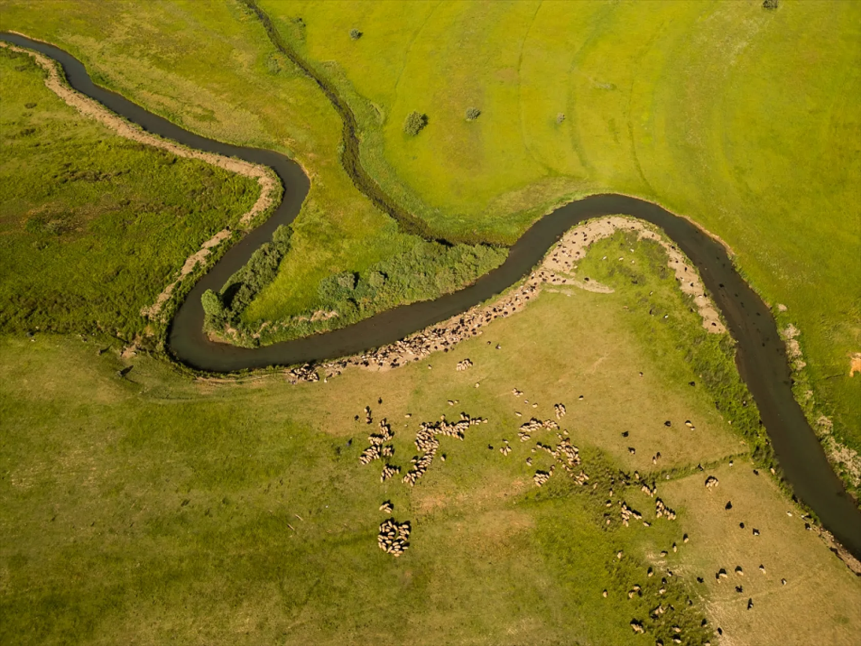 Güzeldere Menderesleri
