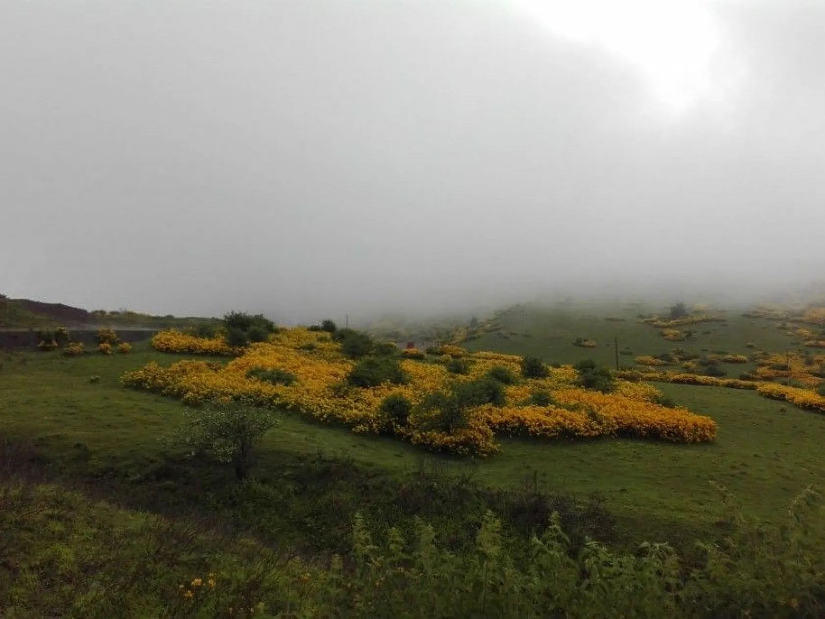 Ordu'nun yaylalarında kartpostallık görüntüler