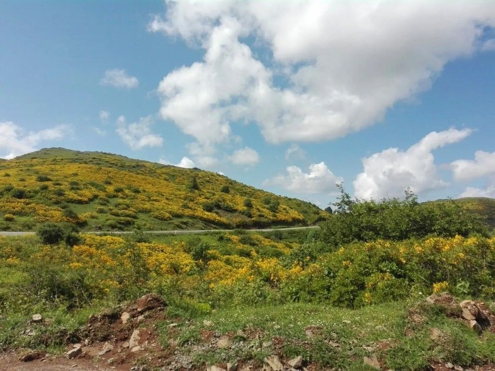 Ordu'nun yaylalarında kartpostallık görüntüler