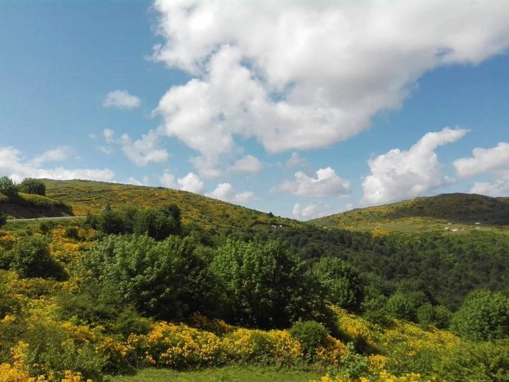 Ordu'nun yaylalarında kartpostallık görüntüler