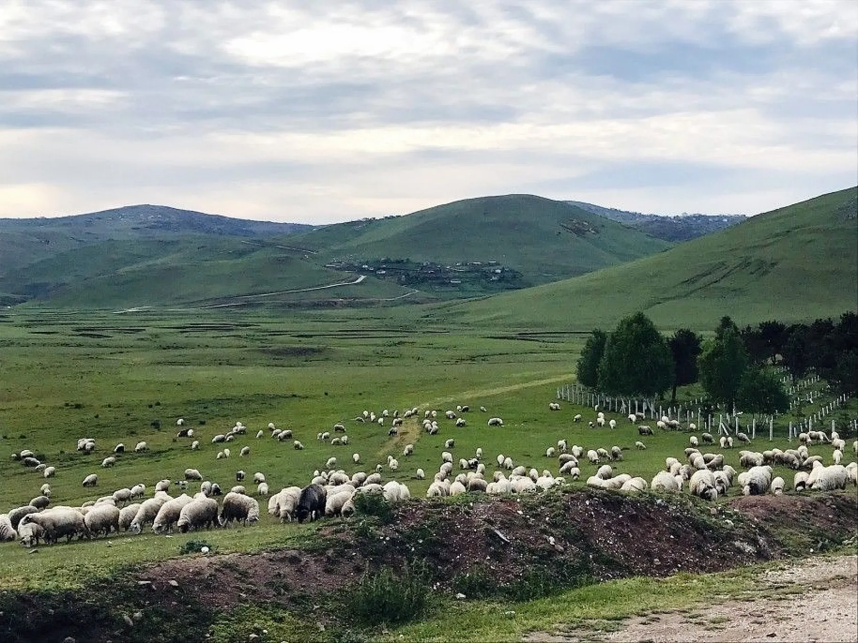 Ordu'nun yaylalarında kartpostallık görüntüler