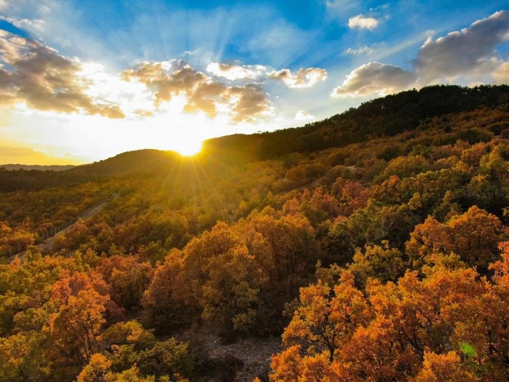 Ankara'da eşsiz sonbahar manzarası