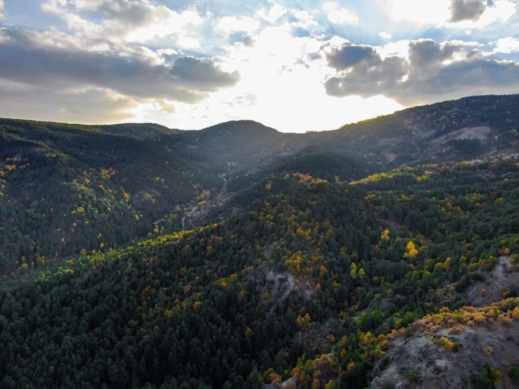 Ankara'da eşsiz sonbahar manzarası