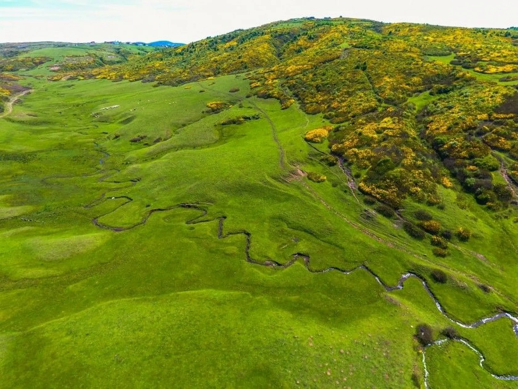 Karadeniz yaylalarından kartpostallık görüntüler