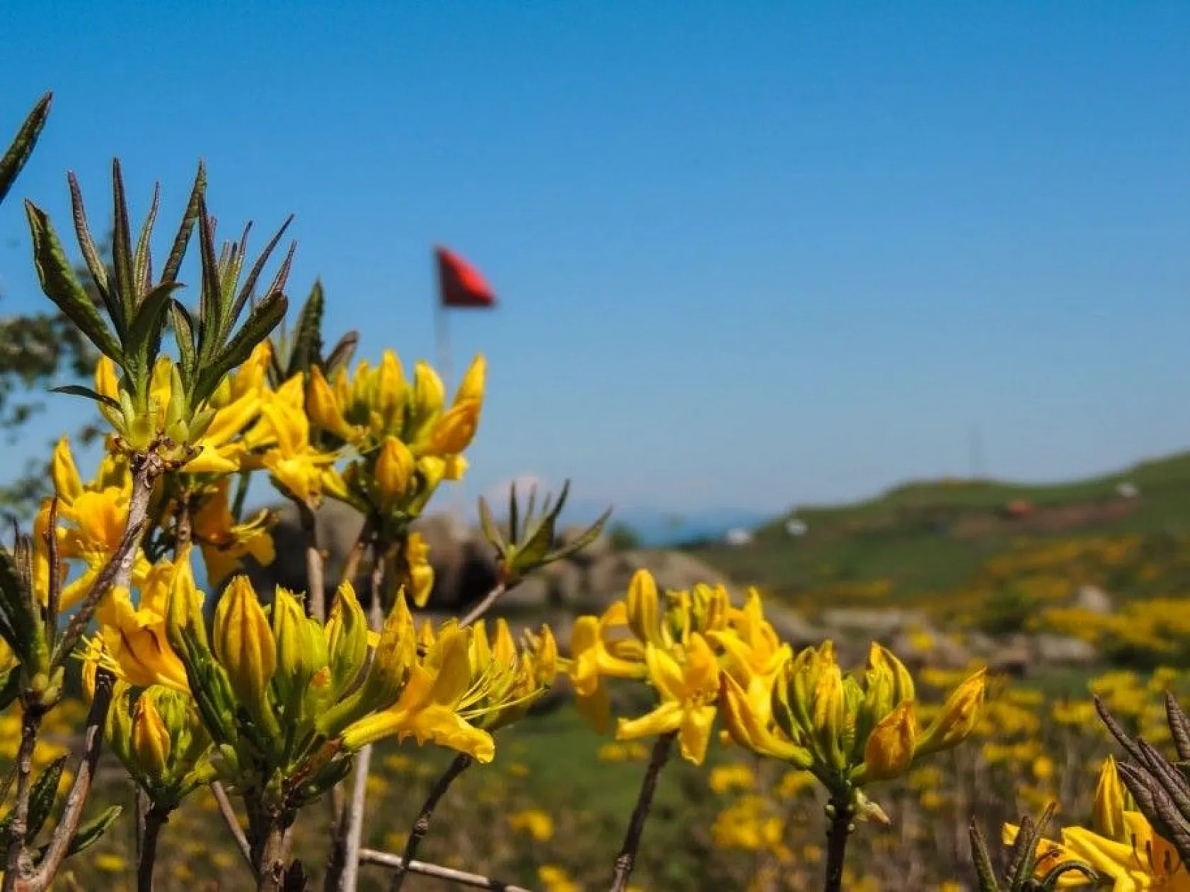 Karadeniz yaylalarından kartpostallık görüntüler